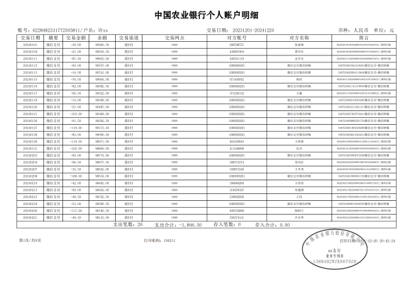 农业银行表格版1-许xx_00.png
